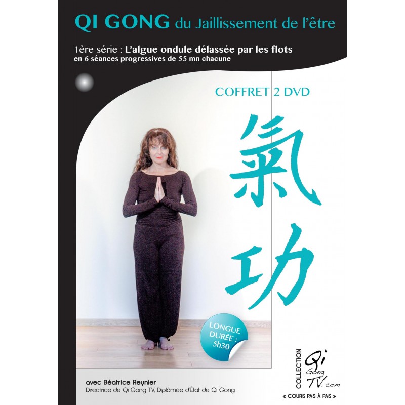 COFFRET QI GONG LE JAILLISEMENT DE L ETRE - 2 DVD