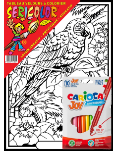 Le perroquet sur sa branche. Tableau à colorier... 2