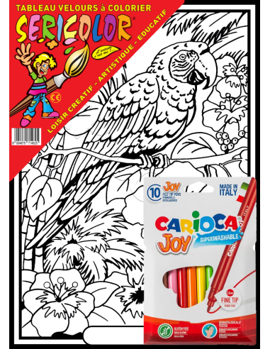 Le perroquet sur sa branche. Tableau à colorier...