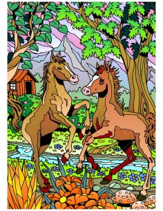 Les 2 poulains. Tableau à colorier Sericolor® avec...