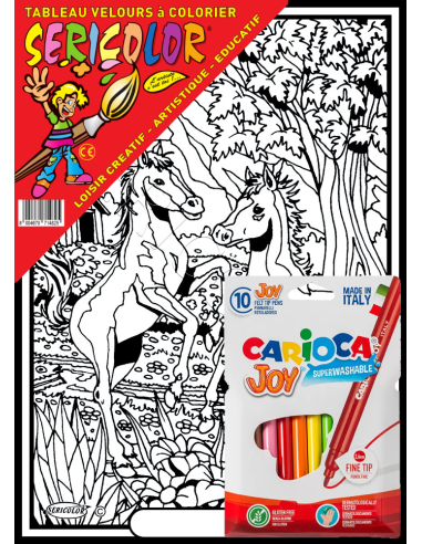 Les 2 poulains. Tableau à colorier Sericolor®...