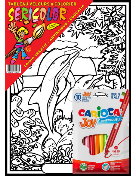 Les 2 dauphins. Tableau à colorier Sericolor® avec contours relief en velours