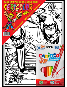 Les perroquets au bord de la rivière. Tableau à colorier... 2