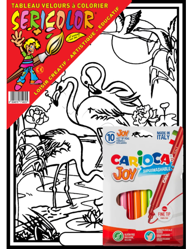 Les flamands roses. Tableau à colorier...