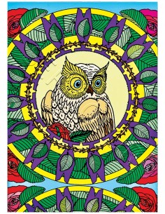 Le mandala de la chouette. Tableau à colorier Sericolor®...