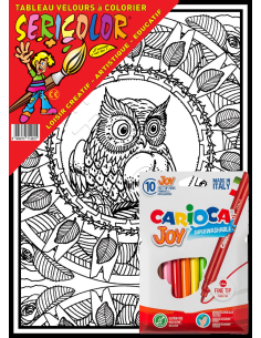 Le mandala de la chouette. Tableau à colorier Sericolor®... 2