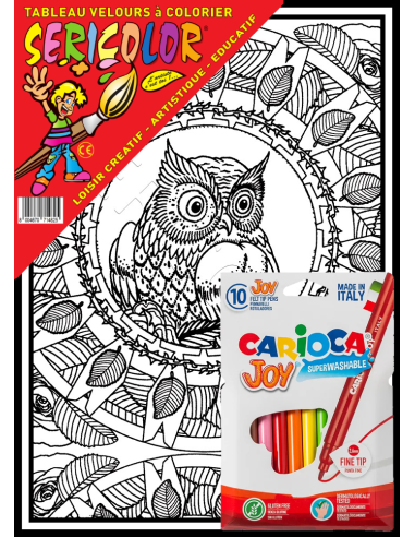 Le mandala de la chouette. Tableau à colorier...