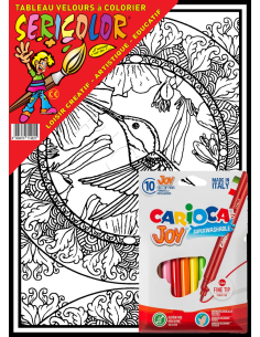 Le mandala du colibri. Tableau à colorier Sericolor® avec... 2