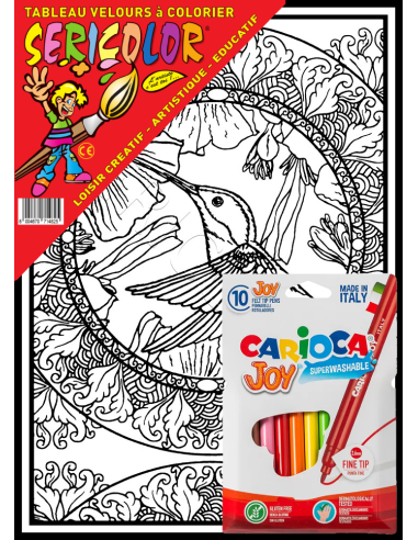 Le mandala du colibri. Tableau à colorier...