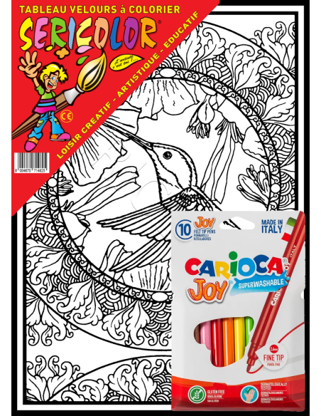 Le mandala du colibri. Tableau à colorier Sericolor® avec contours relief en velours