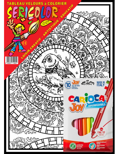 Mandala de l'oiseau. Tableau à colorier...