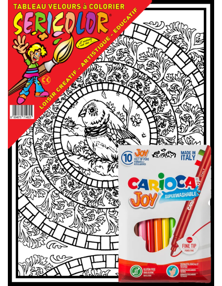 Mandala de l'oiseau. Tableau à colorier Sericolor® avec contours relief en velours