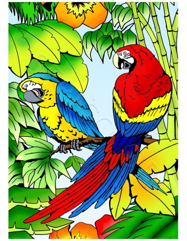 Les 2 perroquets discutent. Tableau à colorier Sericolor® avec contours relief en velours