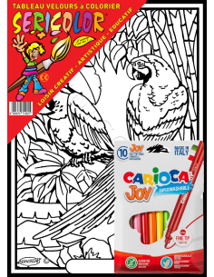 Les 2 perroquets discutent. Tableau à colorier Sericolor®... 2