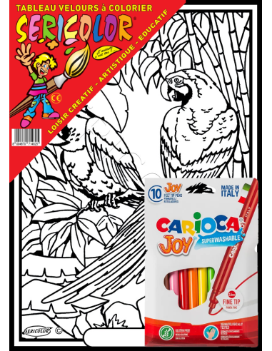 Les 2 perroquets discutent. Tableau à colorier...