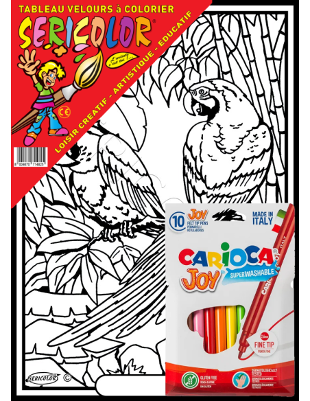 Les 2 perroquets discutent. Tableau à colorier Sericolor® avec contours relief en velours