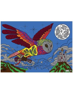 La chouette par Gregory. Tableau à colorier Sericolor®...