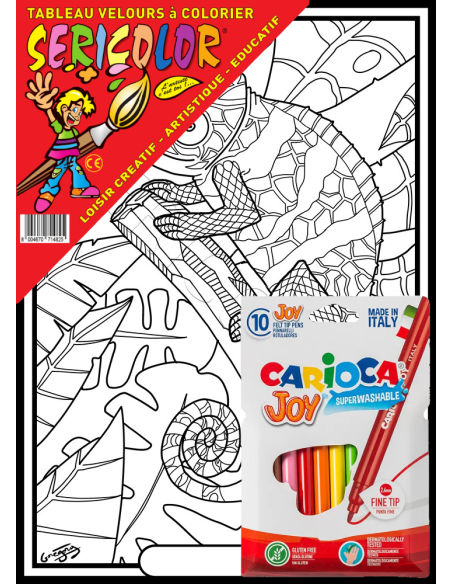 Le caméléon par Gregory. Tableau à colorier Sericolor® avec contours relief en velours
