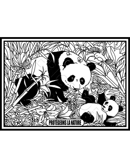 La famille Panda. Tableau à colorier Sericolor® avec contours relief en velours