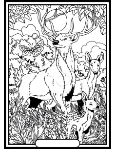 Le cerf, la biche et leur petit. Tableau à colorier... 2